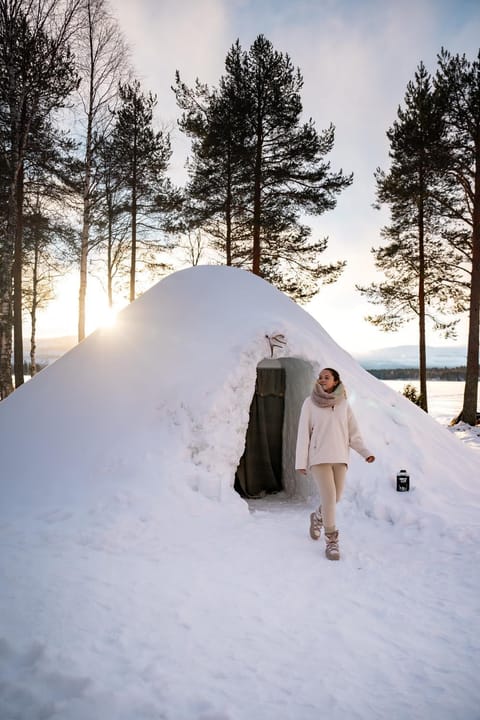 Day, Natural landscape, Winter, Sunrise