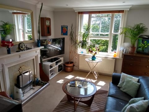 Day, TV and multimedia, Living room, Decorative detail