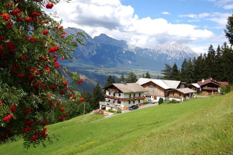 Property building, Natural landscape, BBQ facilities, Balcony/Terrace, Pets