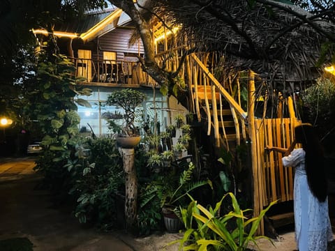 Property building, Night, Garden view