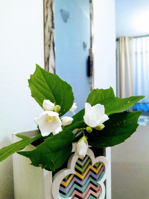 Affittacamere Rizzoli Bed and Breakfast in Bologna