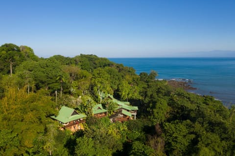 Bird's eye view, Sea view