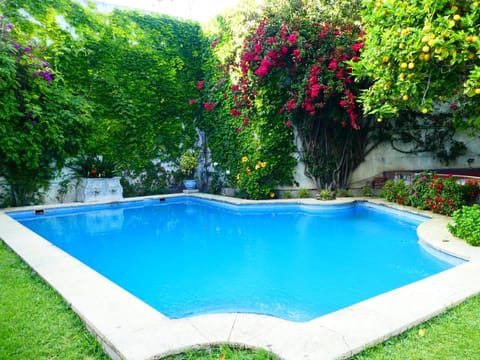 Swimming pool, Swimming pool