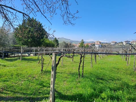 Patio, Balcony/Terrace
