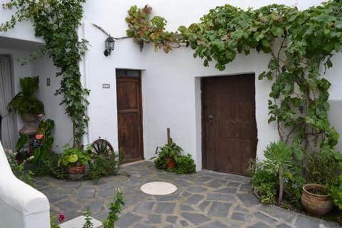Garden view, Inner courtyard view