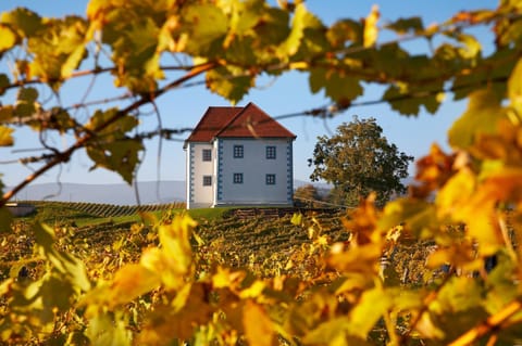 Property building, Natural landscape