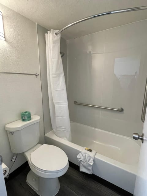 Toilet, Bathroom, Bath