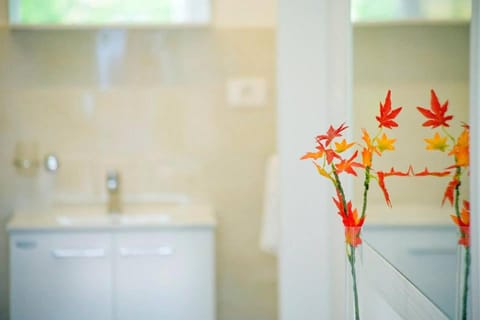 Apartmani Elio Apartment in Istria County