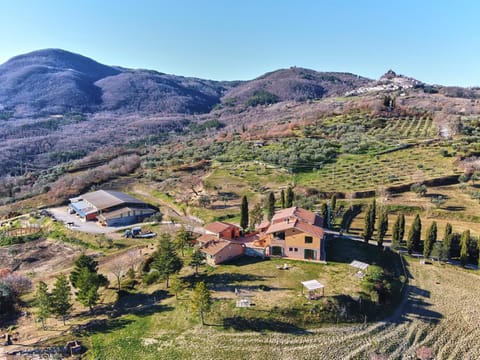 Natural landscape, Bird's eye view