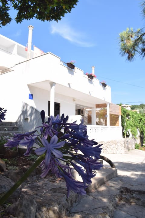 Property building, Day, Garden