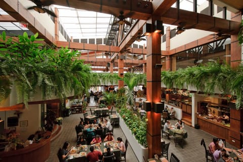 Restaurant/places to eat, Restaurant/places to eat