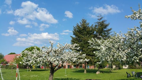Landferienhof "Müritzufer" Apartment in Mecklenburgische Seenplatte