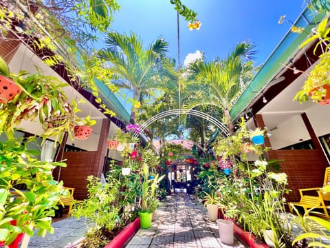 Day, Garden, Garden view