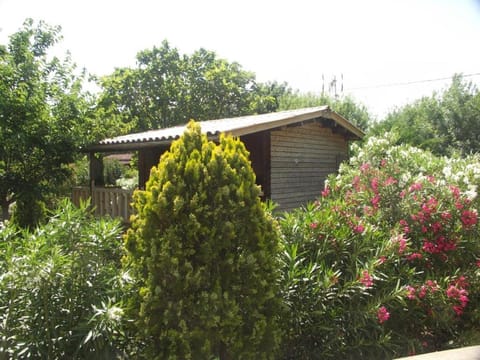 View (from property/room), Garden view