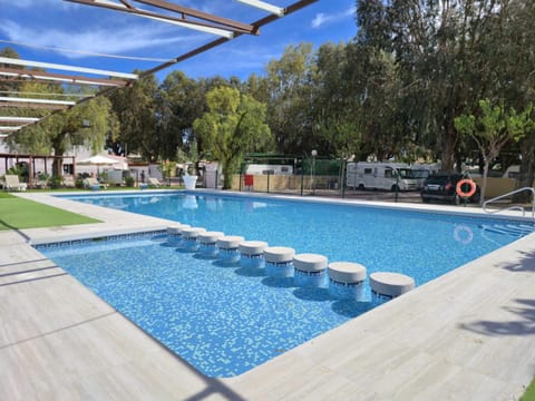 Day, Pool view, Swimming pool, sunbed