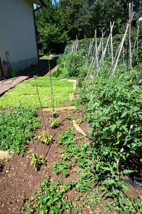 Gaber B&B Bed and Breakfast in Friuli-Venezia Giulia