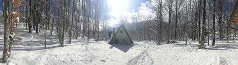 Villa Bodulica - Secluded Mountain Retreat and gateway to Plitvice Lakes Chalet in Lika-Senj County