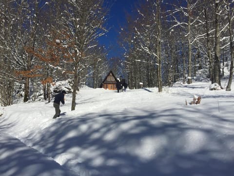 Villa Bodulica - Secluded Mountain Retreat and gateway to Plitvice Lakes Chalet in Lika-Senj County