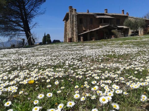 Spring, Garden view, Inner courtyard view