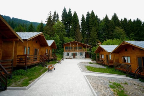 Property building, Natural landscape, Mountain view