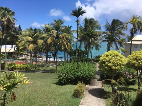 Garden, Sea view