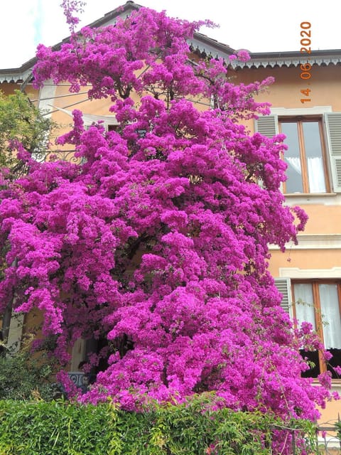 La casa dei Paggi Bed and Breakfast in Sestri Levante