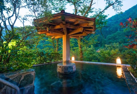 Day, Hot Spring Bath, Swimming pool, Open Air Bath