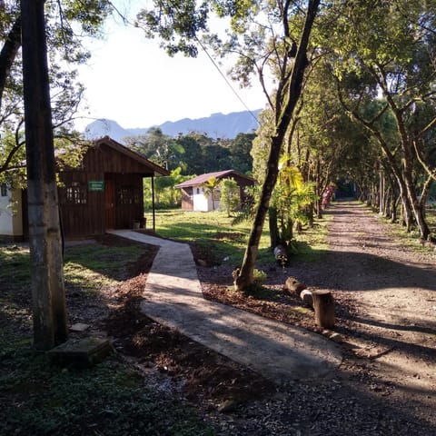 Garden, Mountain view