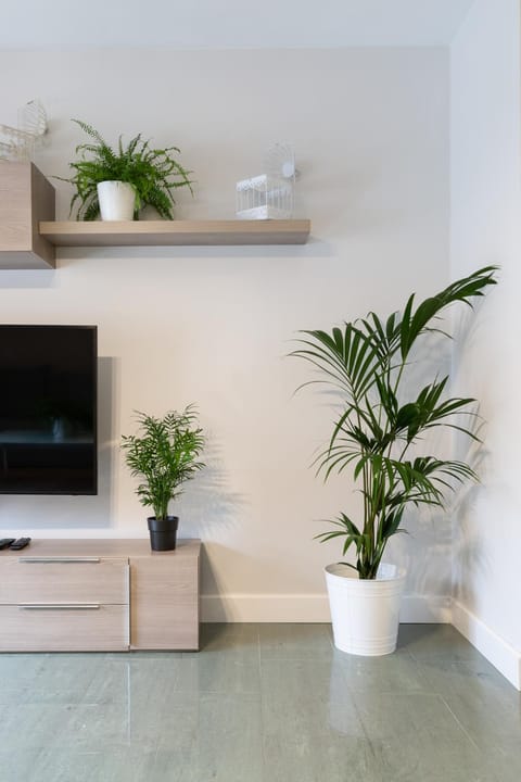 TV and multimedia, Living room, Decorative detail, Area and facilities