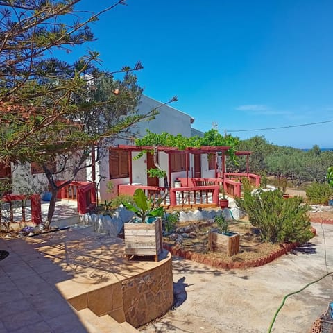 Property building, Garden, Garden view