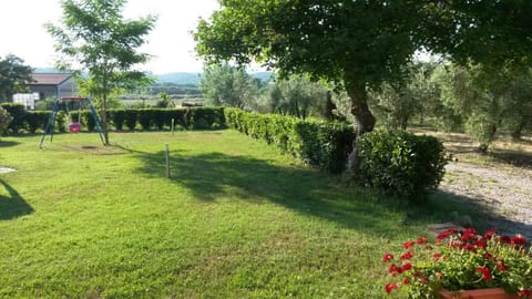 Bird's eye view, Garden, Garden view