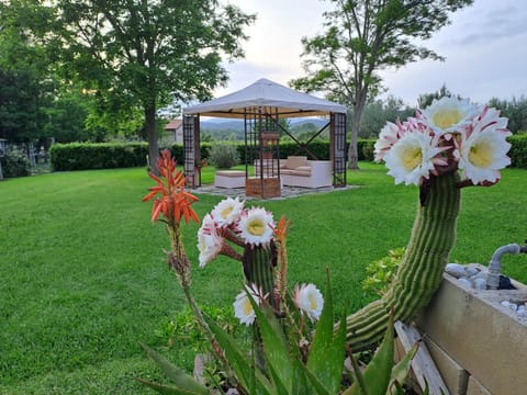 Spring, Day, Natural landscape, Garden, Garden view