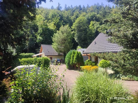 Natural landscape, Garden, Garden view