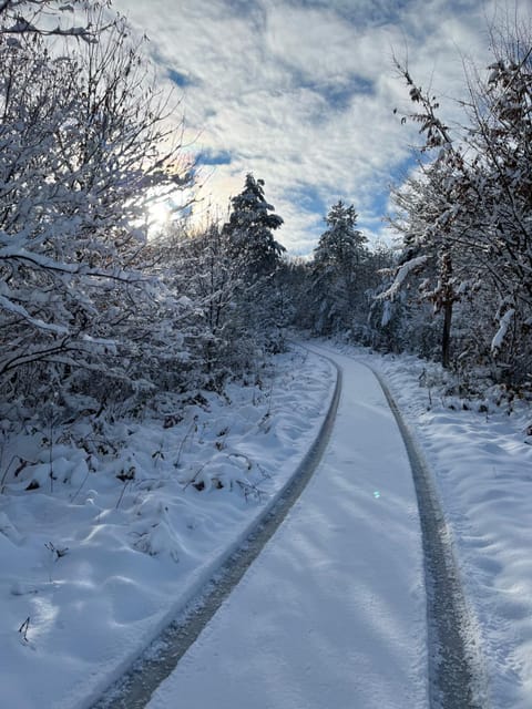 Natural landscape, Winter