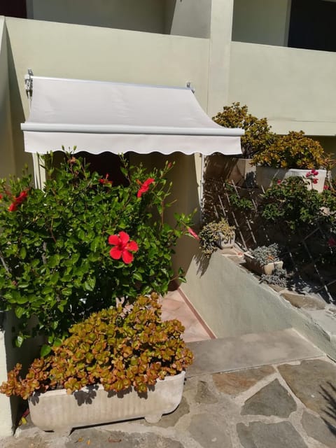 Property building, Garden view
