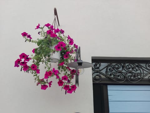 Tambien B&B Bed and Breakfast in Pesaro