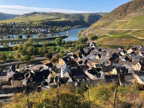 Am Weinberg Apartment in Cochem-Zell
