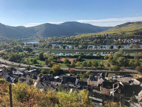 Am Weinberg Apartment in Cochem-Zell