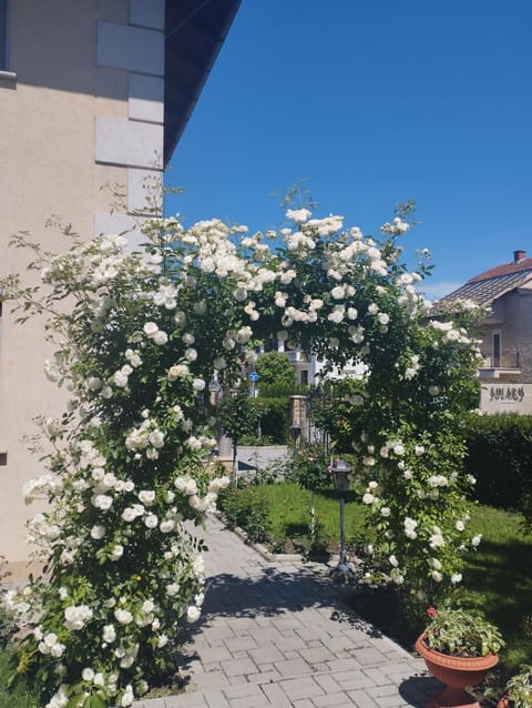 Apartmani Nik Lux Apartment in Serbia