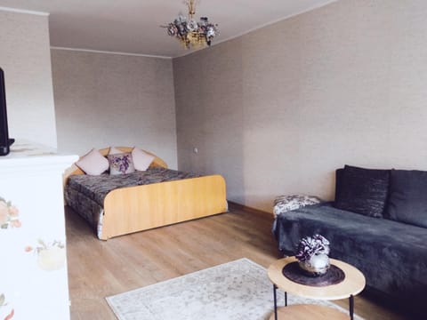 Vieno kambario butas Gedimino g. Apartment in Kaliningrad Oblast, Russia