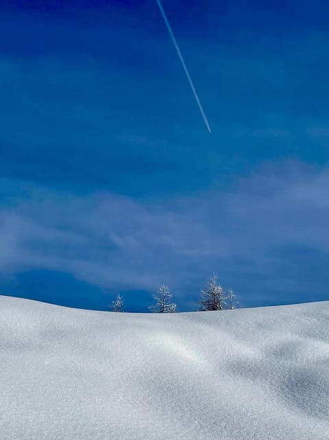 Natural landscape, Winter