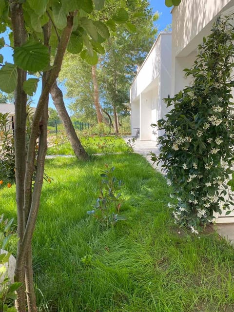 Garden, Balcony/Terrace