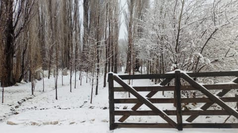 Natural landscape
