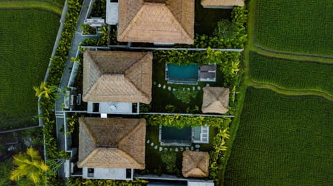 View (from property/room), Inner courtyard view