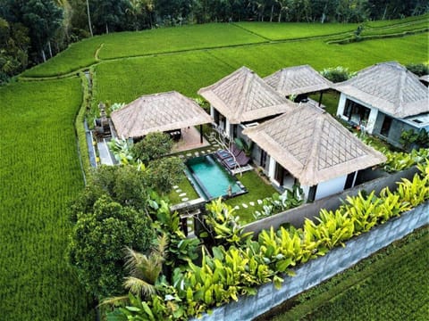 Property building, Natural landscape, Garden view, Swimming pool