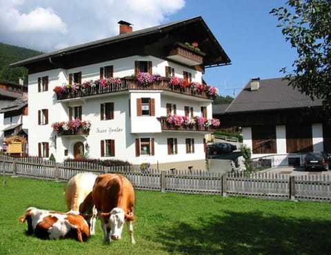 Erlebenswert Bauernhof Gruber Bed and Breakfast in Carinthia, Austria