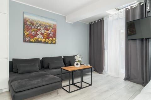 TV and multimedia, Living room, Photo of the whole room, Seating area, Evening entertainment