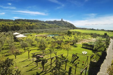 Garden, Garden view, Landmark view