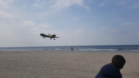 Neighbourhood, Natural landscape, Beach