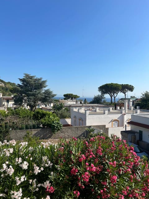 Villa immersa nel verde House in Ischia